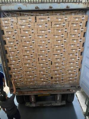 از طریق رنگ سبز ماشین برای محیط های با دمای بالا